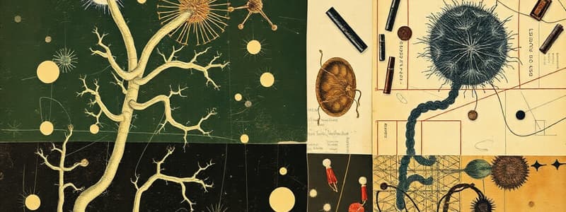 Microbial Taxonomy and Classification