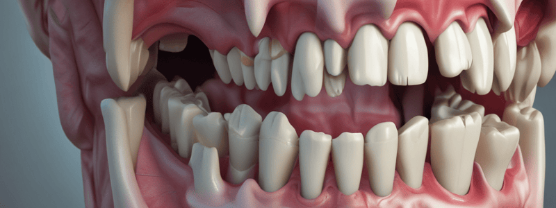 Molar Anatomy