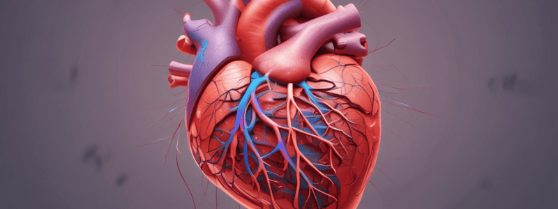 Lecture 1.1b - Coronary circulation