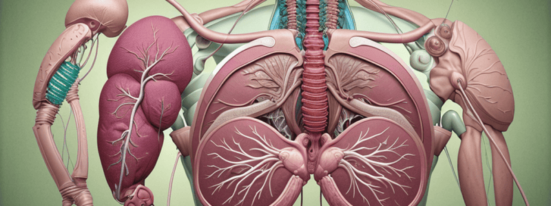 Biliary System Review