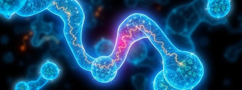 Biology Chapter 8: Metabolism and Energy