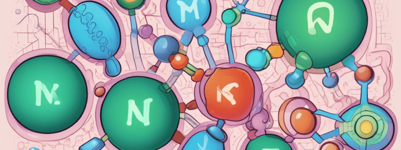 Alanine Transaminase (ALT) Enzyme Function