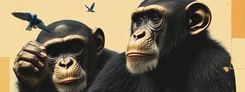 Jane Goodall's Contributions to Primatology