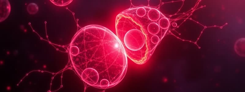 Meiosis Overview and Stages