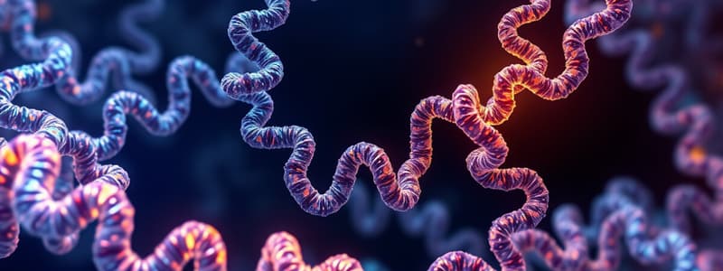 Computational Protein Structure Prediction