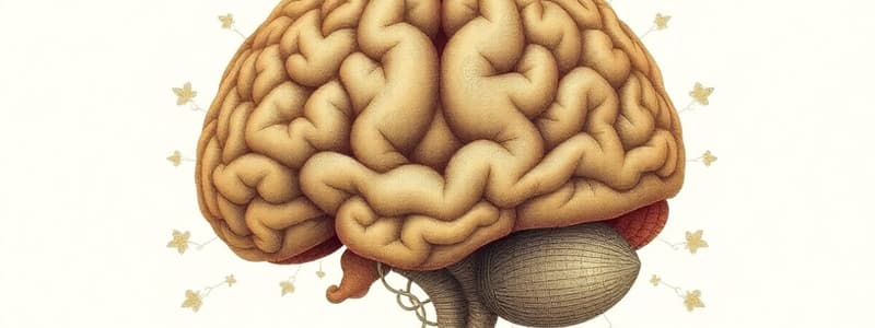 Brain Basics Quiz