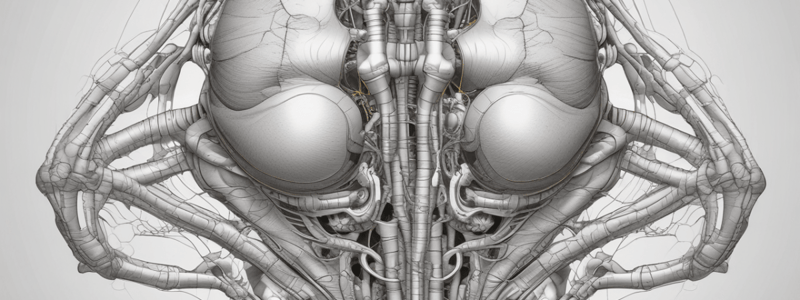 Pelvic Biomechanics and Anatomy