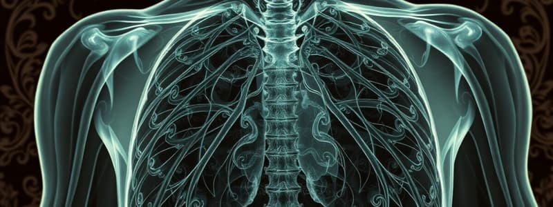 Radiographic Techniques - Thoracic Bones