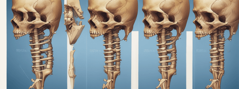 Bone Anatomy and Development Quiz