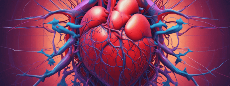 Circulatory System II