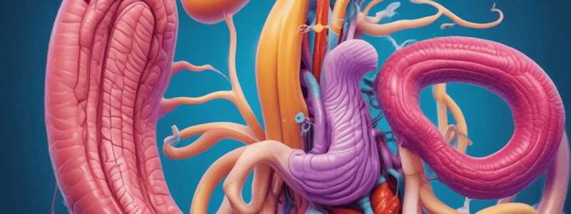 Digestive System Chapter 23: Overview and GI Tract Layers