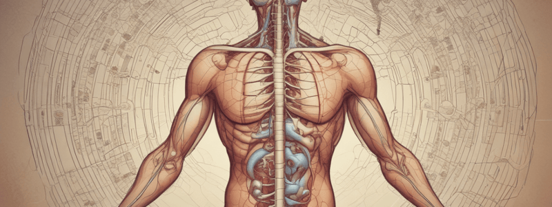 Physiology and Endocrine System Quiz