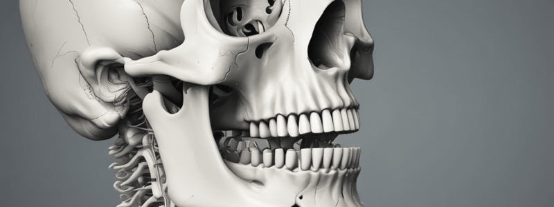 Osteokinematics of the TMJ: Depression and Elevation