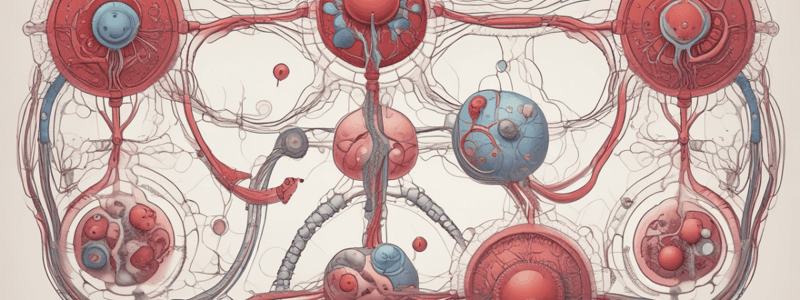 extended response practice respiratory and circulatory system