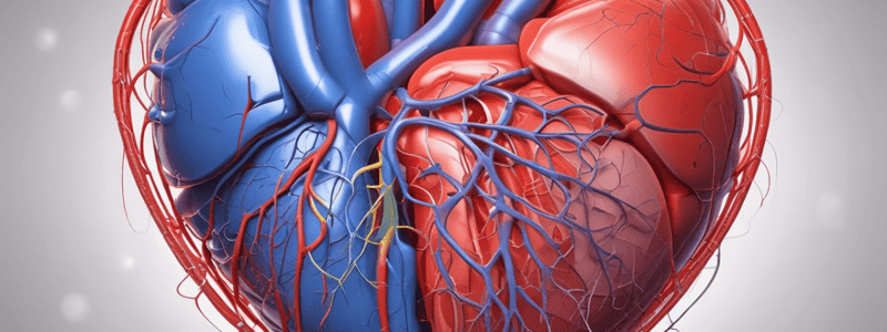 Cardiovascular System Pressure and Pumping Function Quiz