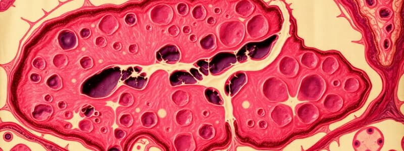 Human Tissues and Histology Quiz