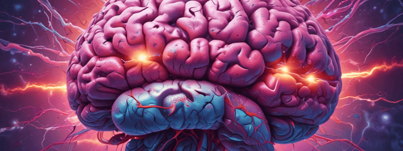 Neuroscience: Cerebellum and Diencephalon Functions