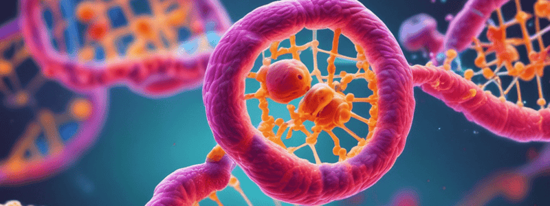 Histone Core and Nucleosomes Quiz