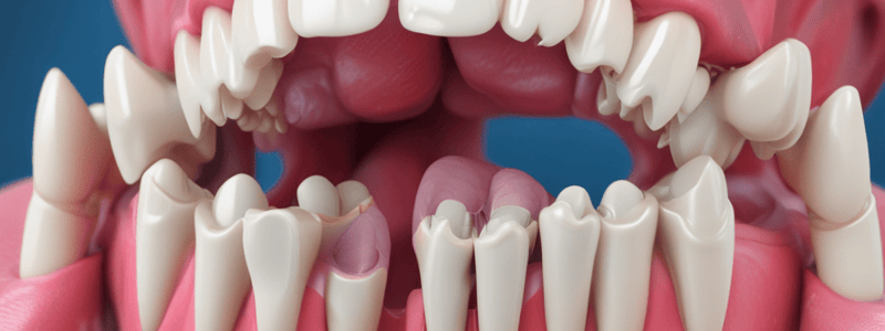 Anatomy of the Gingiva Quiz