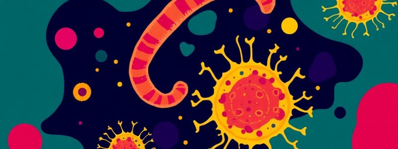 Microbiology: Spirochetes and Chlamydiae