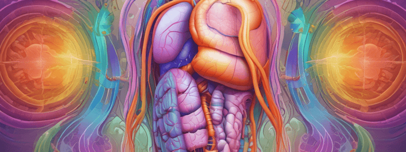 MBBS Year 1: Gastrointestinal Physiology Lectures