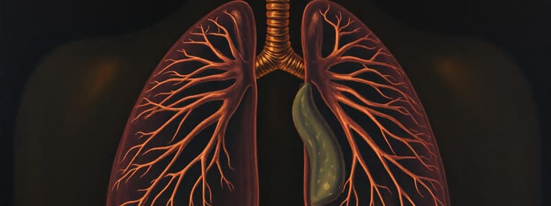 Respiratory System Self-Assessment