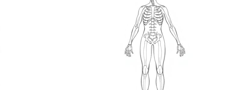 Lecture 01: First Line of Defense in Immunology [Quiz 2]