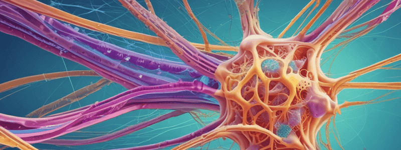 Cytoskeleton Basics