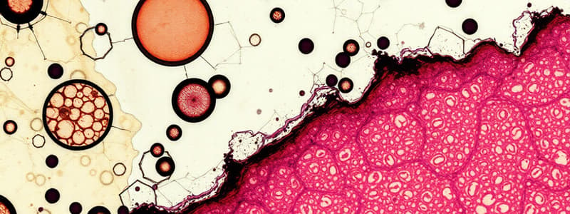 Microscopic Tissue Analysis Quiz