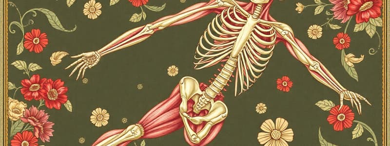 Skeletal Muscle Contraction and Types