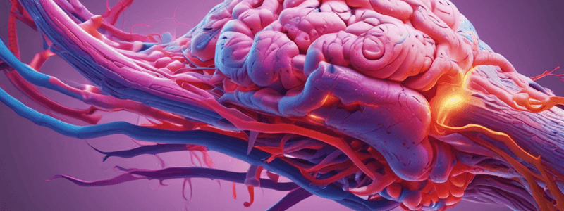 Physiology of Nociception