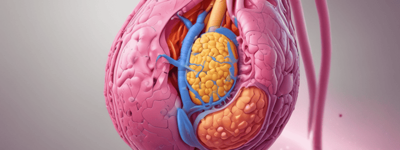 Urolithiasis and Renal Calculi Quiz