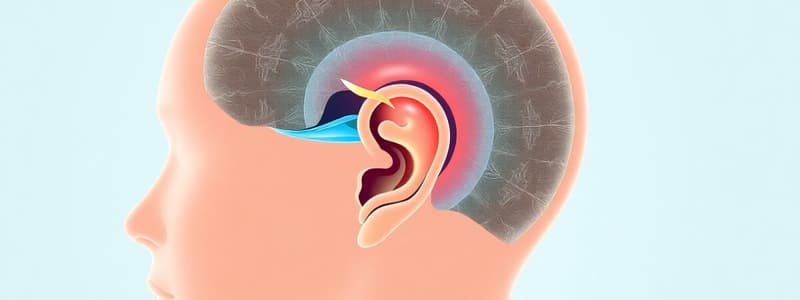 Otosclerosis and Auditory System Quiz