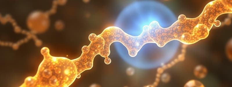 Lipid Metabolism Overview