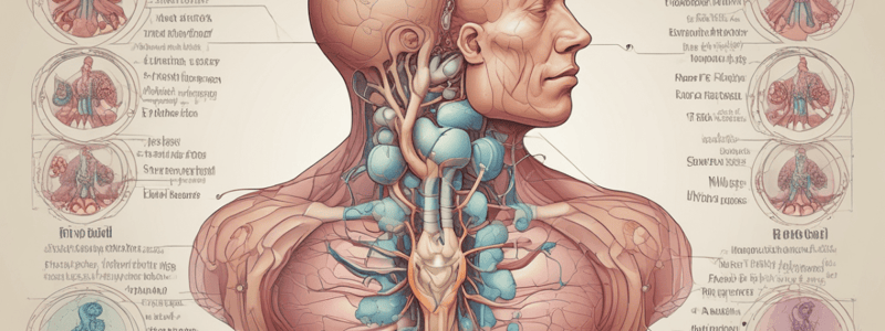 Endocrine System: Thyroid Gland and Hormones