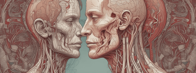 Angiology of Head and Neck