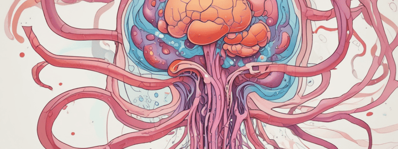 Nephrotic Syndrome: Pathology and Diagnosis