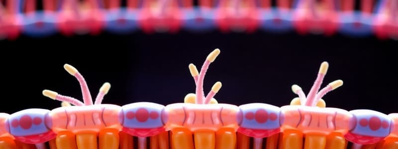 Cell Membrane and Transmembrane Proteins