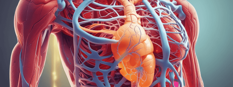 Homeostasis Overview