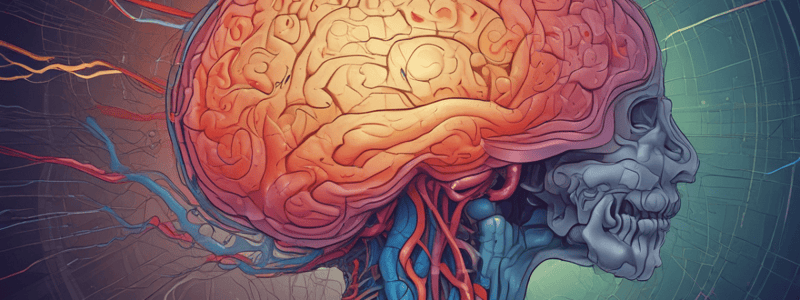 Neurology Lab II: Brain Functions and Systems