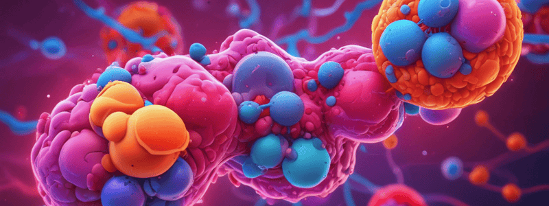 Hormones Classification Based on Chemical Nature