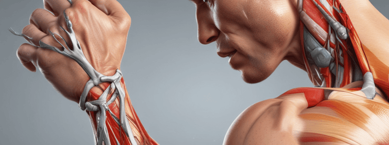 Shoulder Injuries Etiology Quiz