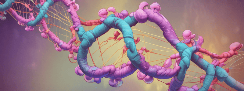 RNA Synthesis and Polymerase