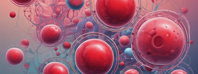 Cell Lines Derived from Haematopoiesis