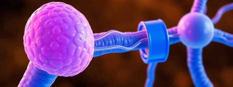 Hormones and their Signaling Pathways