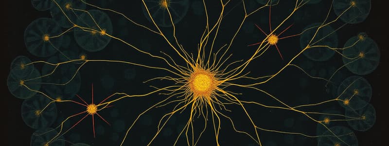 Cytoskeleton in Eukaryotic Cells