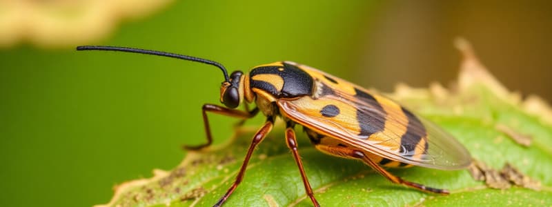 Agricultural Pests and Their Impact