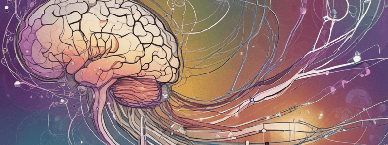 Neuronal signalling 2