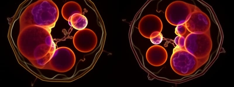 Cell Biology - Mitosis, Meiosis & Cell Cycle