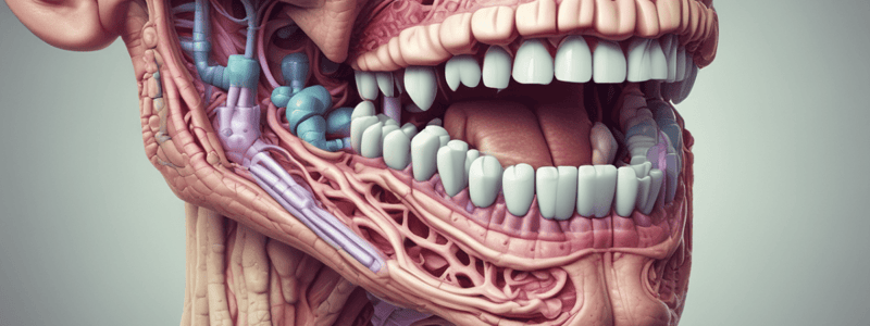 Oral Biology: Salivary Glands